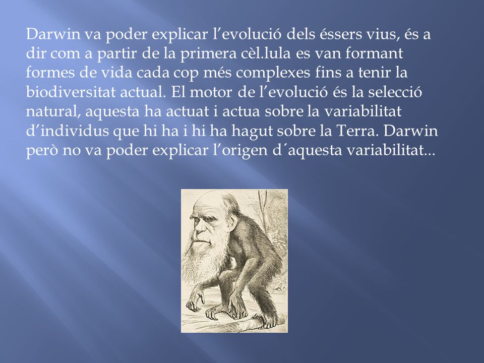 Darwin va poder explicar l’evolució dels éssers vius, és a dir com a partir de la primera cèl.lula es van formant formes de vida cada cop més complexes fins a tenir la biodiversitat actual.