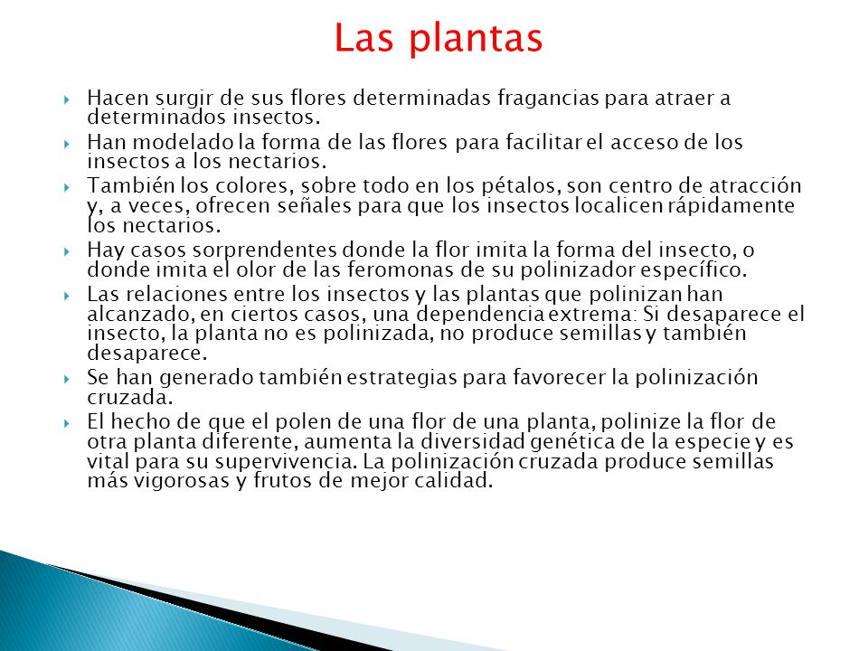 Las plantas Hacen surgir de sus flores determinadas fragancias para atraer a determinados insectos.