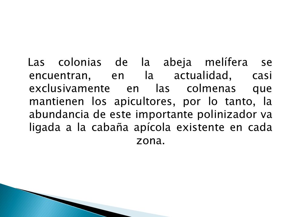 Las colonias de la abeja melífera se encuentran, en la actualidad, casi exclusivamente en las colmenas que mantienen los apicultores, por lo tanto, la abundancia de este importante polinizador va ligada a la cabaña apícola existente en cada zona.
