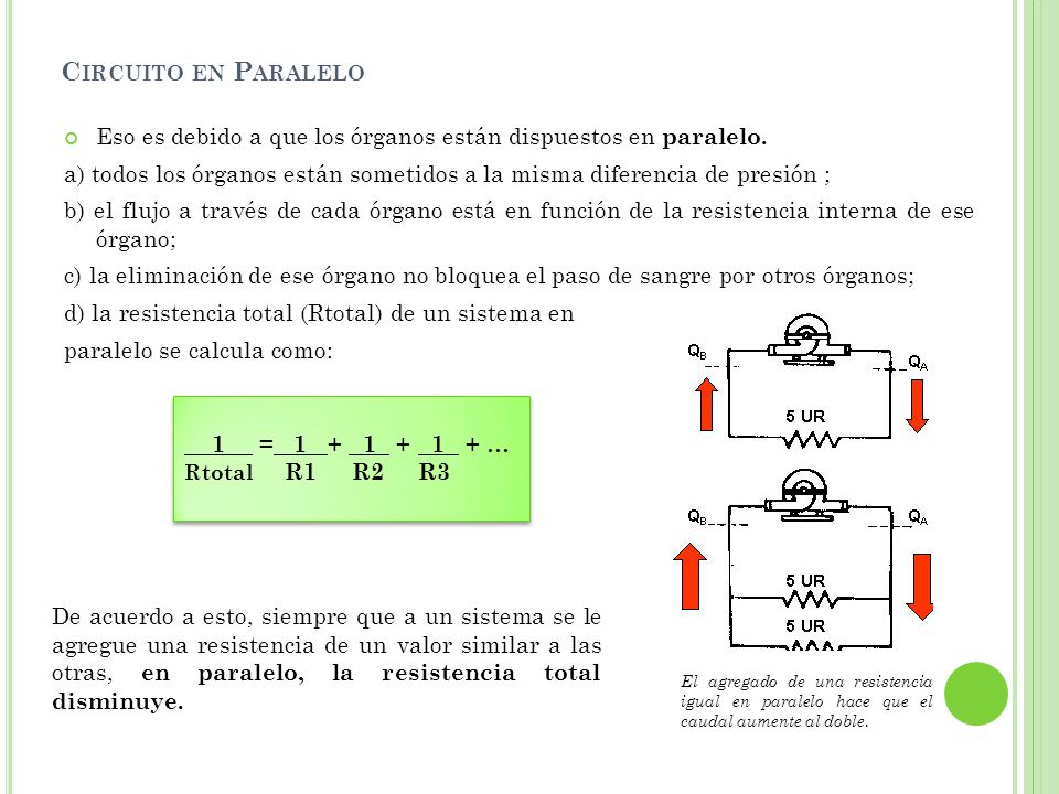 Circuito en Paralelo Eso es debido a que los órganos están dispuestos en paralelo.