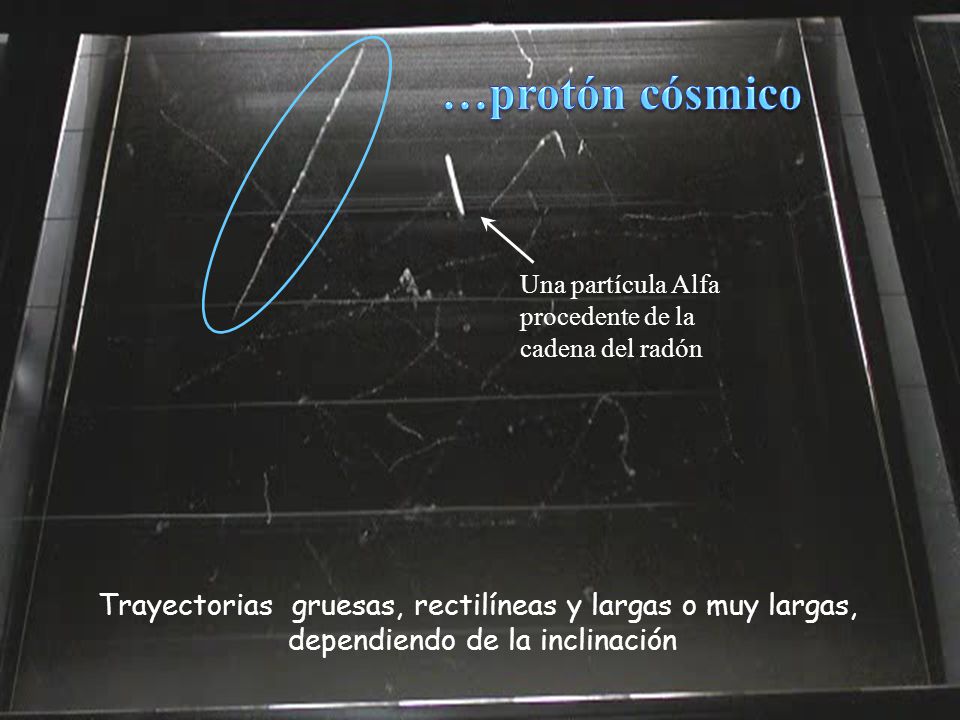 …protón cósmico Una partícula Alfa procedente de la cadena del radón. Trayectorias gruesas, rectilíneas y largas o muy largas,