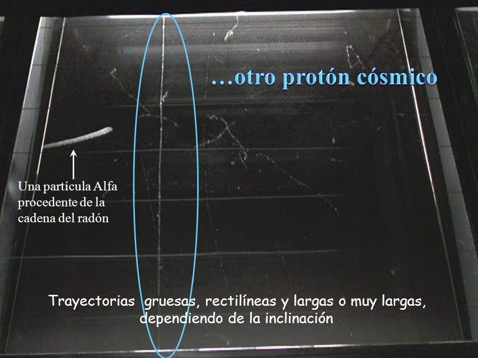 …otro protón cósmico Una partícula Alfa procedente de la cadena del radón. Trayectorias gruesas, rectilíneas y largas o muy largas,