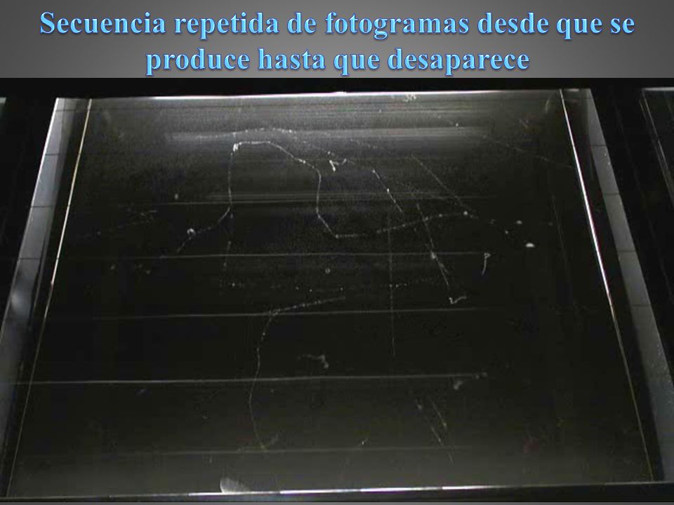Secuencia repetida de fotogramas desde que se produce hasta que desaparece