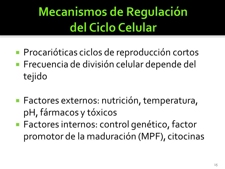 Mecanismos de Regulación del Ciclo Celular