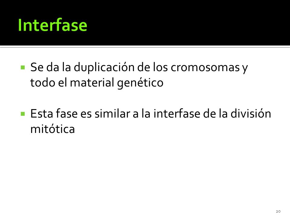 Interfase Se da la duplicación de los cromosomas y todo el material genético.