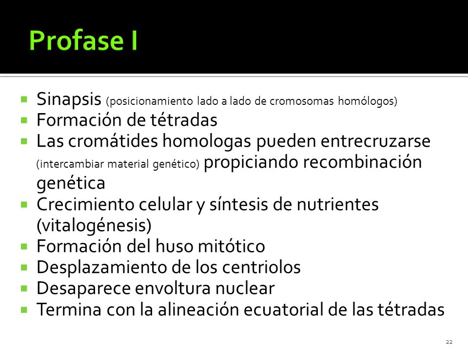 Profase I Sinapsis (posicionamiento lado a lado de cromosomas homólogos) Formación de tétradas.