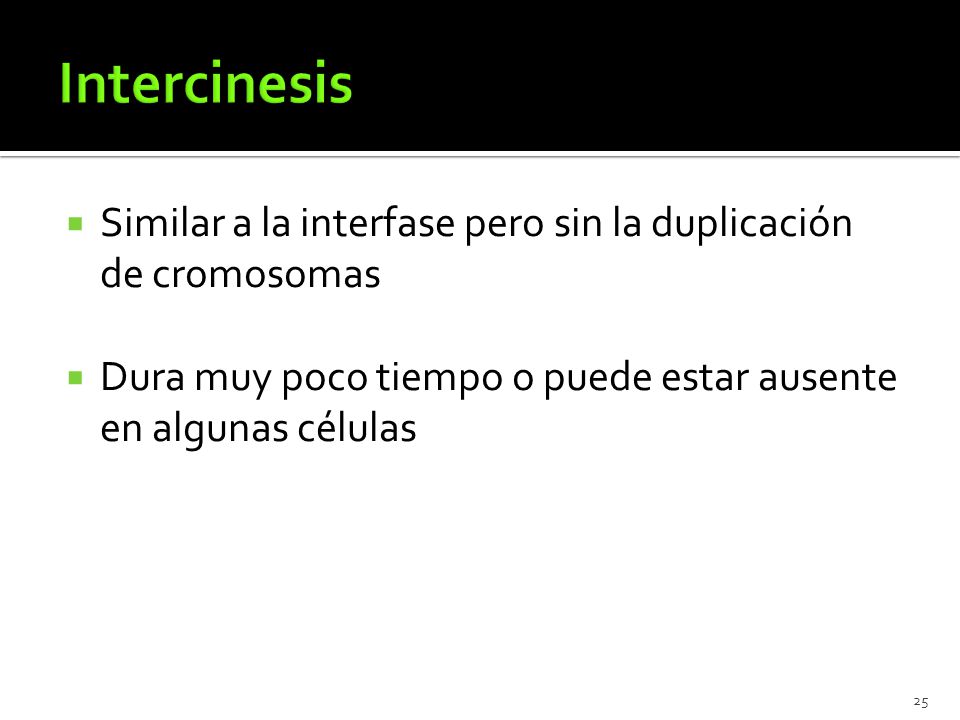 Intercinesis Similar a la interfase pero sin la duplicación de cromosomas.