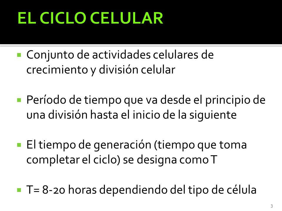 EL CICLO CELULAR Conjunto de actividades celulares de crecimiento y división celular.