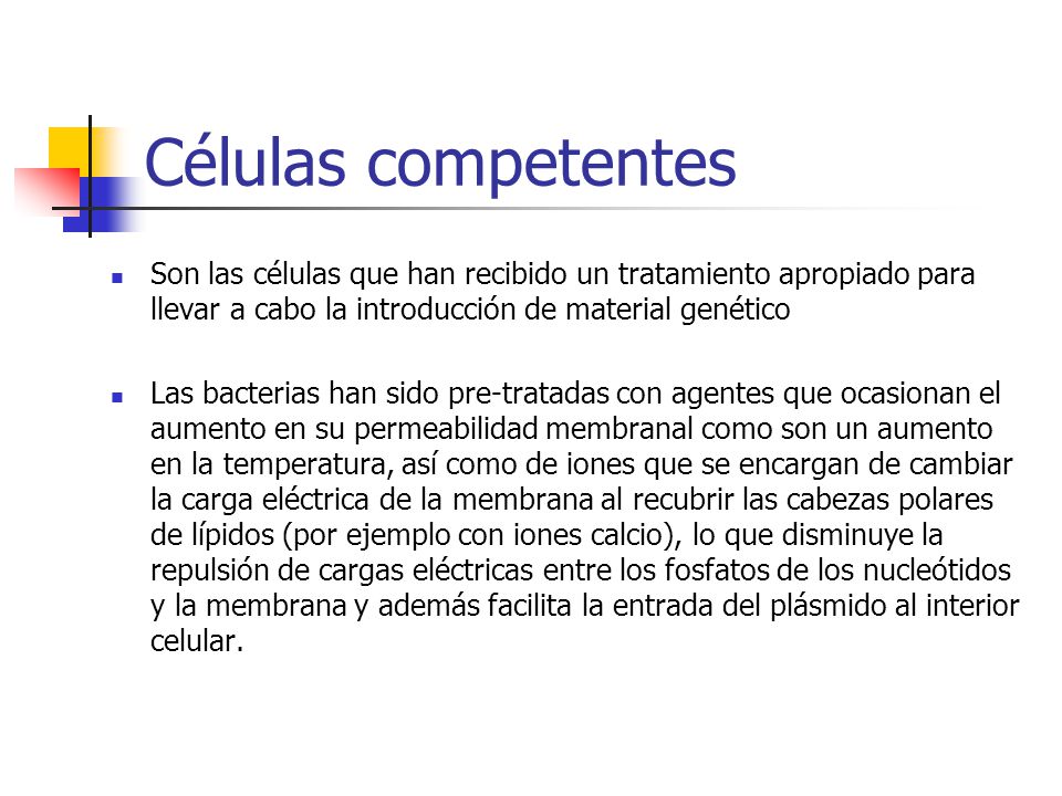Células competentes Son las células que han recibido un tratamiento apropiado para llevar a cabo la introducción de material genético.
