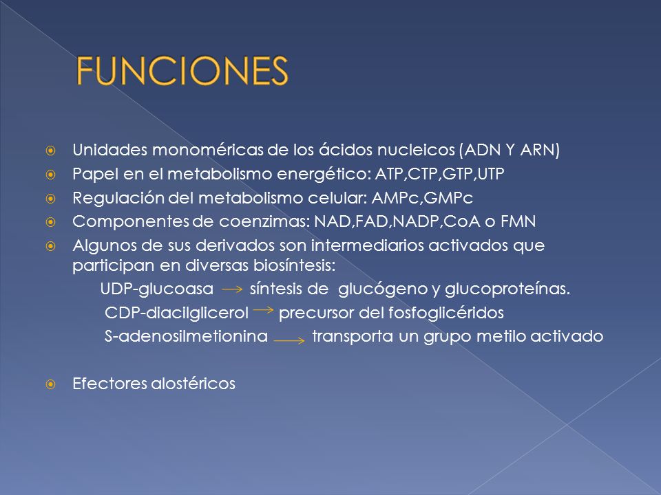 FUNCIONES Unidades monoméricas de los ácidos nucleicos (ADN Y ARN)