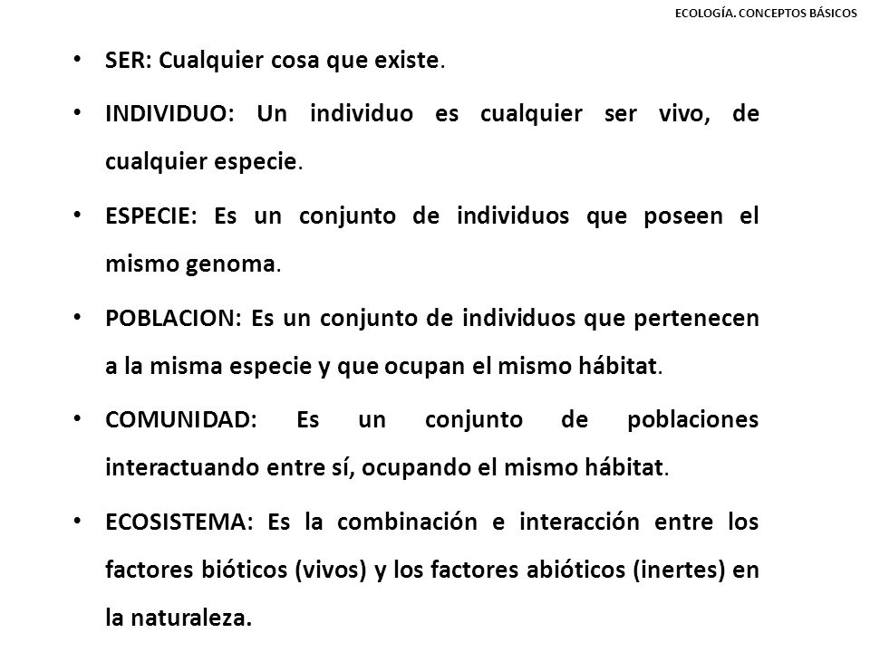 SER: Cualquier cosa que existe.