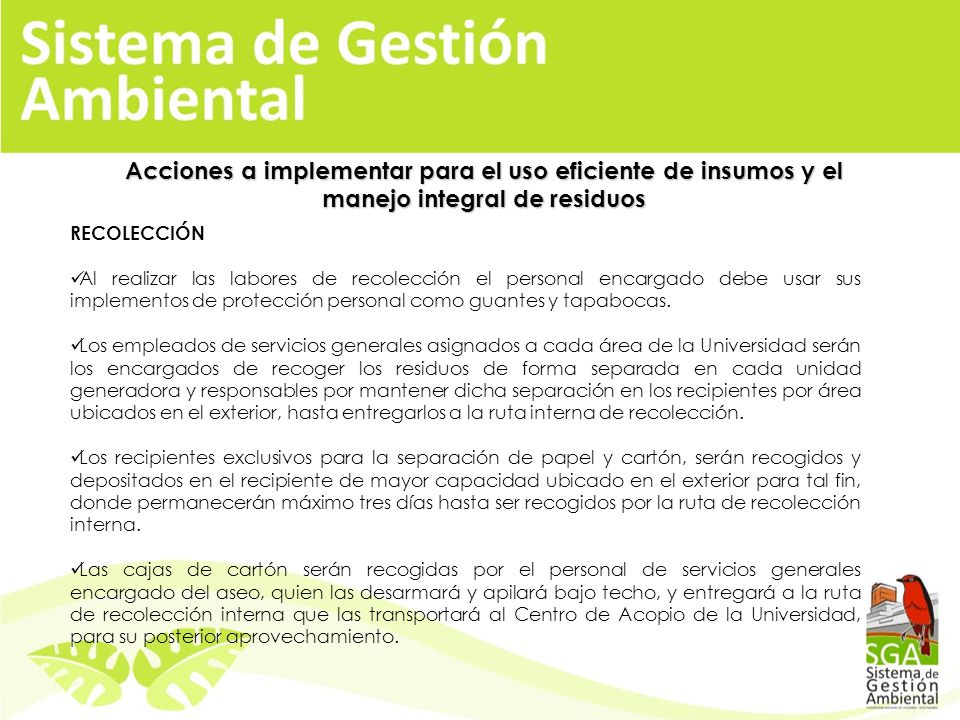 Acciones a implementar para el uso eficiente de insumos y el manejo integral de residuos