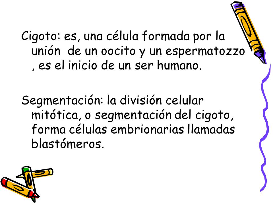 Cigoto: es, una célula formada por la unión de un oocito y un espermatozzo , es el inicio de un ser humano.
