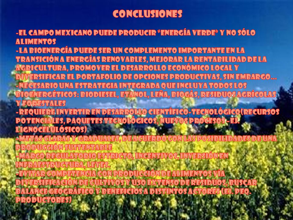Conclusiones -El campo Mexicano puede producir energía verde y no sólo alimentos.