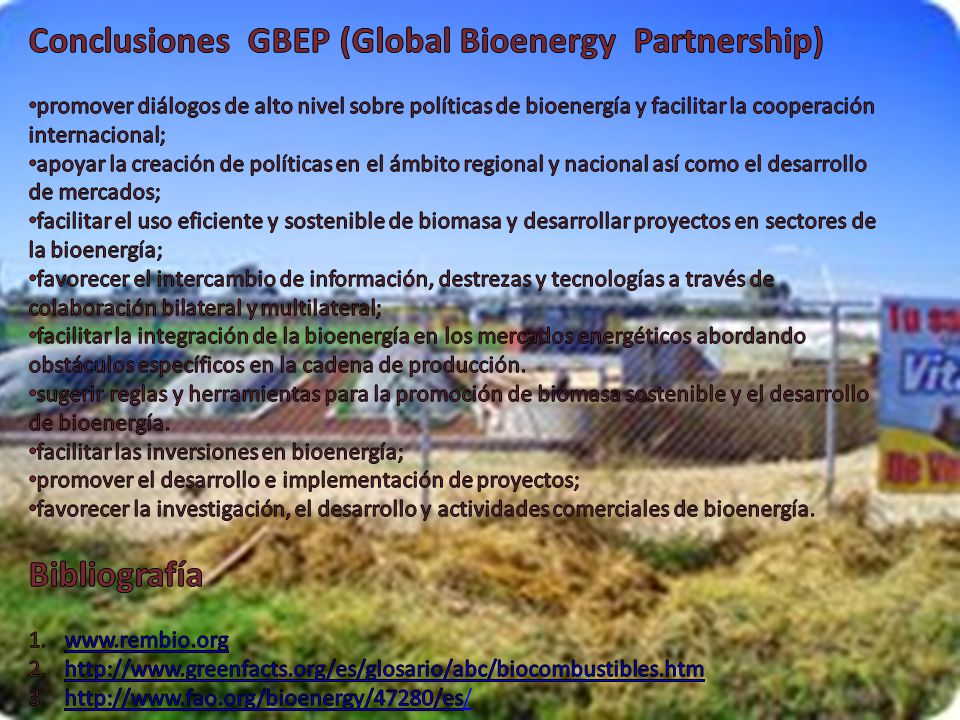 Conclusiones GBEP (Global Bioenergy Partnership)