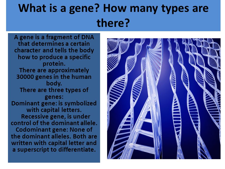 What is a gene How many types are there