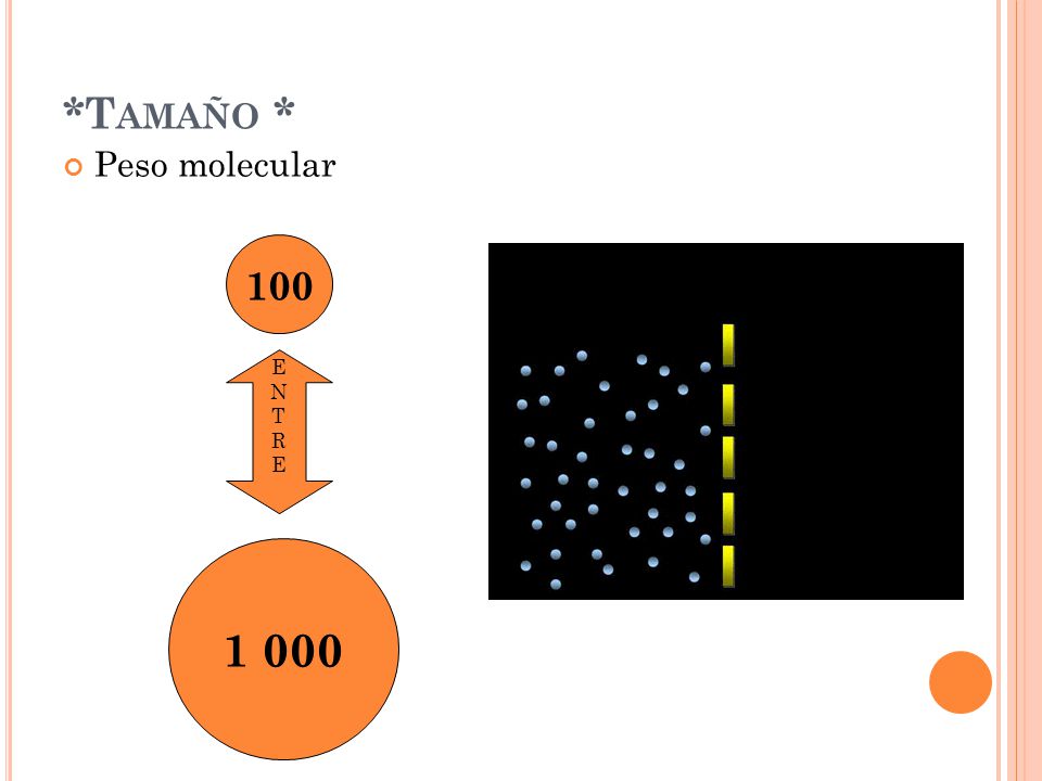 *Tamaño * Peso molecular 100 E N T R 1 000