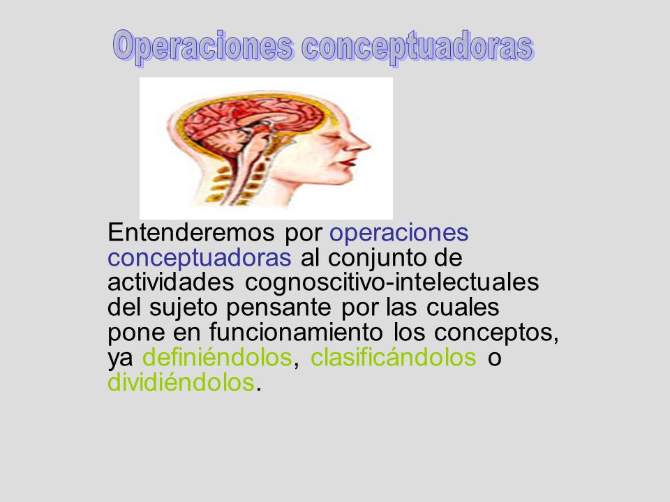 Entenderemos por operaciones conceptuadoras al conjunto de actividades cognoscitivo-intelectuales del sujeto pensante por las cuales pone en funcionamiento los conceptos, ya definiéndolos, clasificándolos o dividiéndolos.