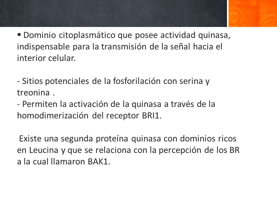 Dominio citoplasmático que posee actividad quinasa, indispensable para la transmisión de la señal hacia el interior celular.
