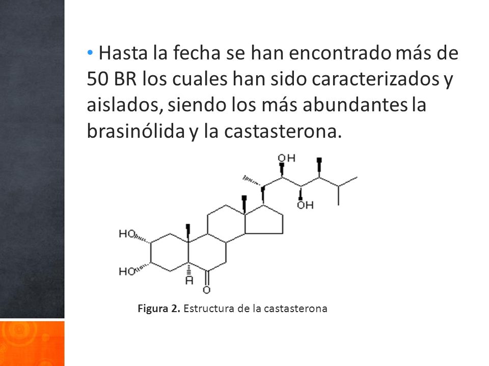 Hasta la fecha se han encontrado más de 50 BR los cuales han sido caracterizados y aislados, siendo los más abundantes la brasinólida y la castasterona.