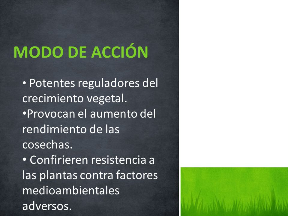 MODO DE ACCIÓN Provocan el aumento del rendimiento de las cosechas.