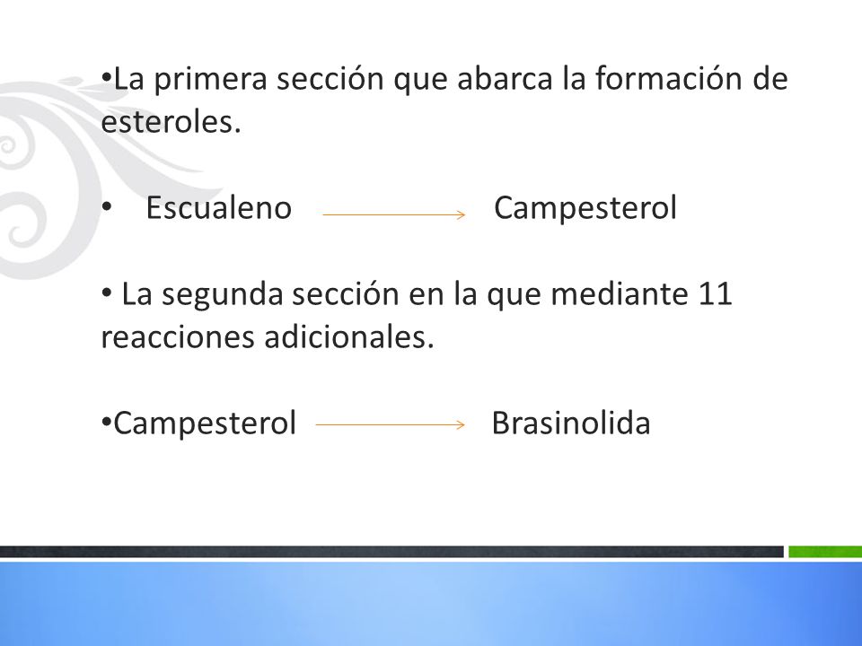 La primera sección que abarca la formación de esteroles.