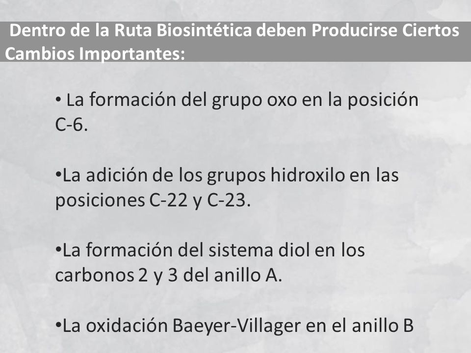 La adición de los grupos hidroxilo en las posiciones C-22 y C-23.