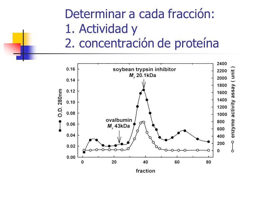Determinar a cada fracción: 1. Actividad y 2. concentración de proteína