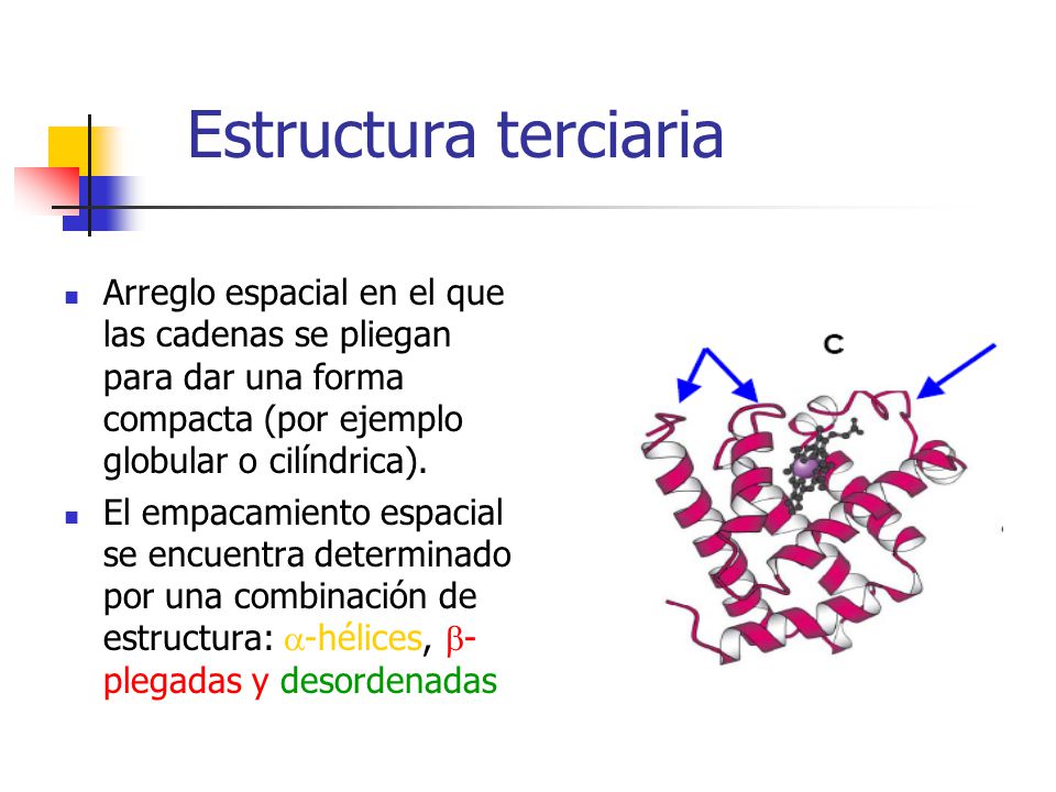 Estructura terciaria Arreglo espacial en el que las cadenas se pliegan para dar una forma compacta (por ejemplo globular o cilíndrica).