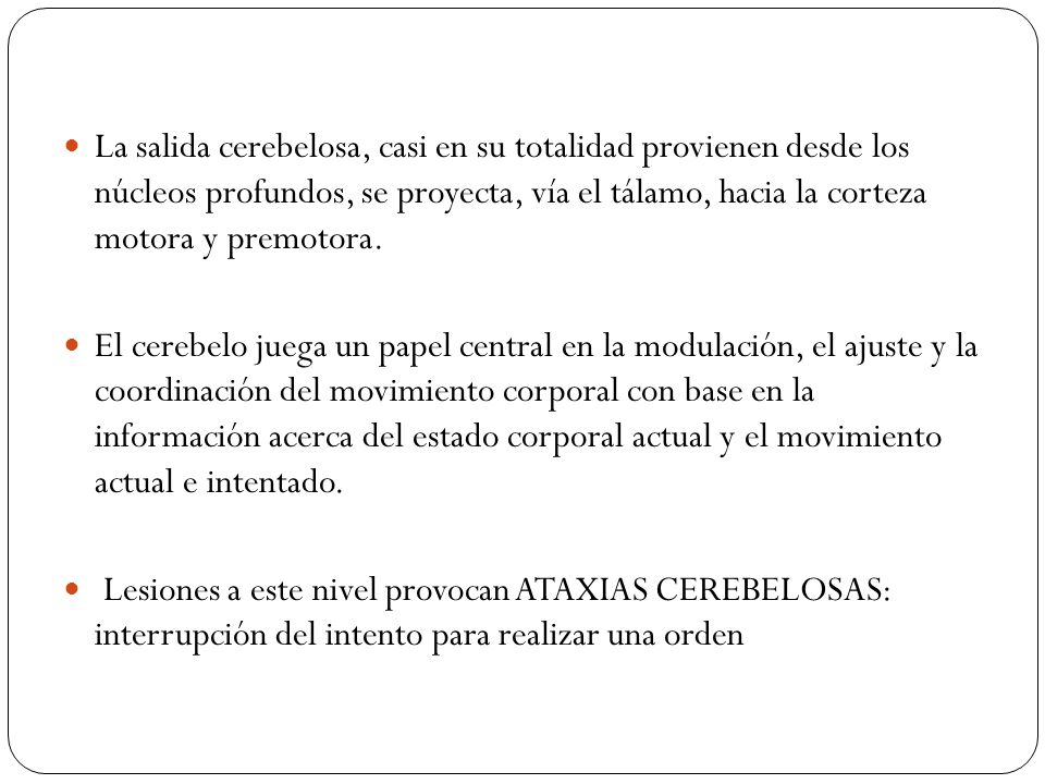 La salida cerebelosa, casi en su totalidad provienen desde los núcleos profundos, se proyecta, vía el tálamo, hacia la corteza motora y premotora.