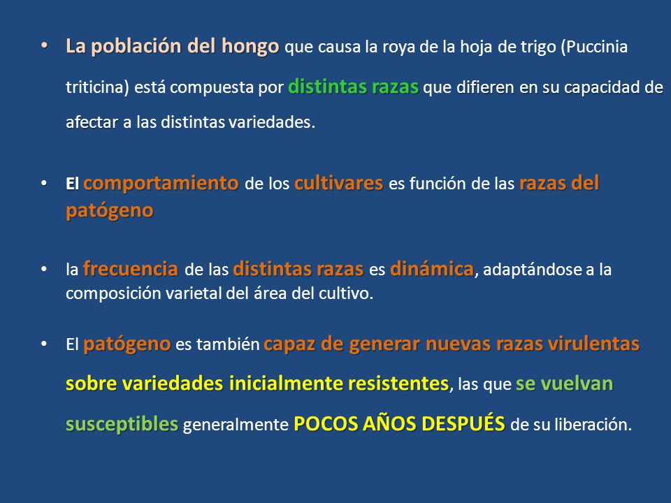 La población del hongo que causa la roya de la hoja de trigo (Puccinia triticina) está compuesta por distintas razas que difieren en su capacidad de afectar a las distintas variedades.