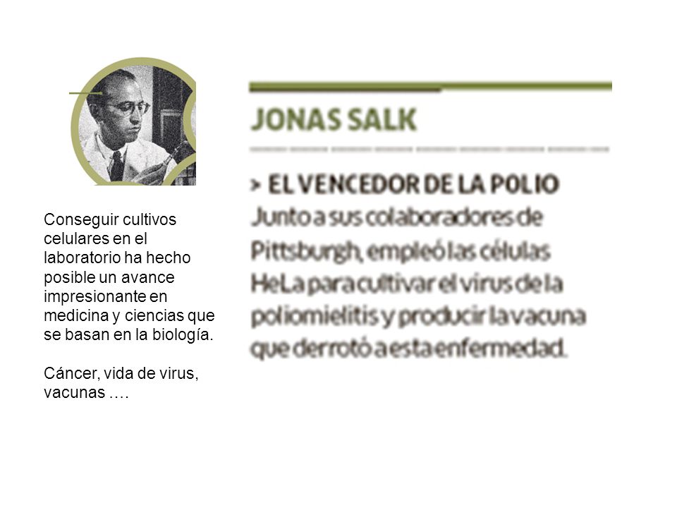Conseguir cultivos celulares en el laboratorio ha hecho posible un avance impresionante en medicina y ciencias que se basan en la biología.