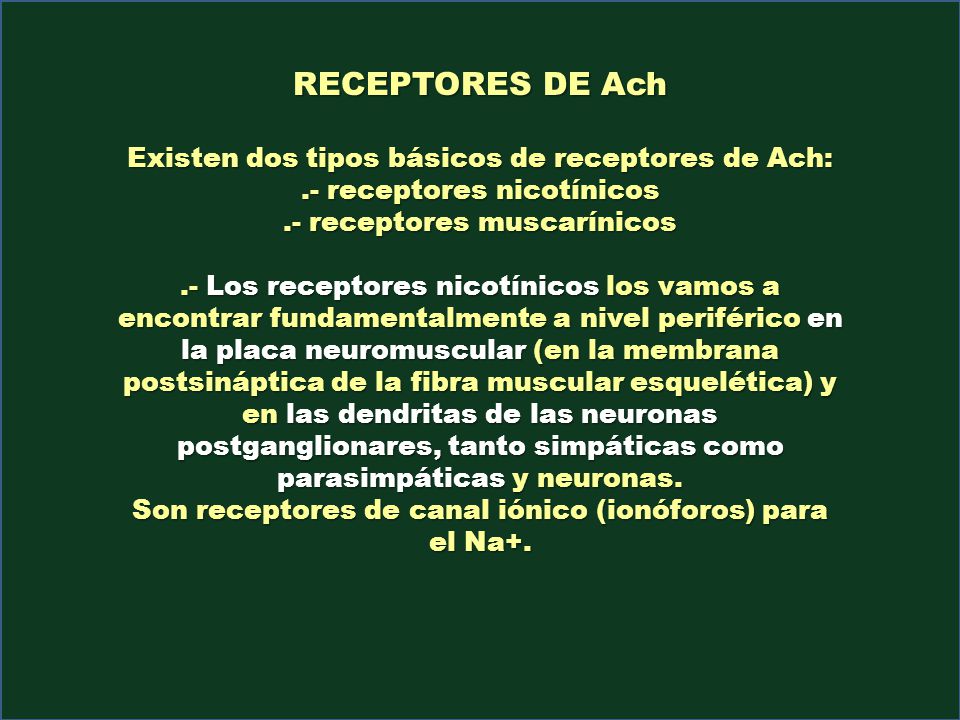 RECEPTORES DE Ach Existen dos tipos básicos de receptores de Ach: .- receptores nicotínicos. .- receptores muscarínicos.