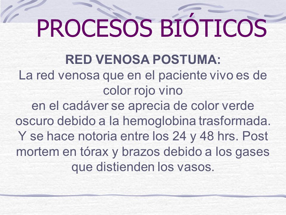 La red venosa que en el paciente vivo es de color rojo vino