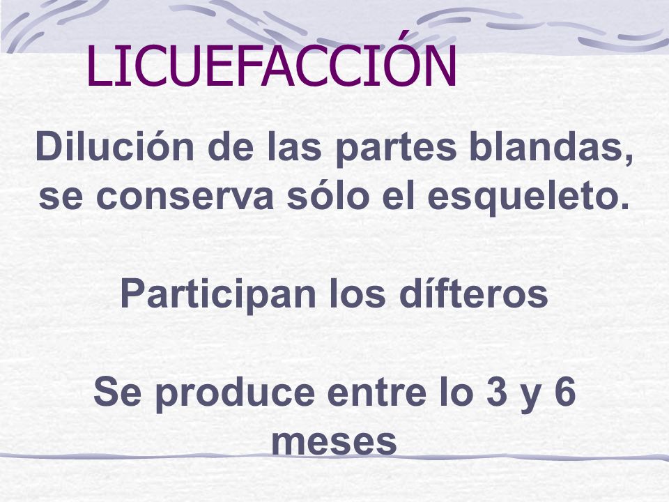 LICUEFACCIÓN Dilución de las partes blandas, se conserva sólo el esqueleto. Participan los dífteros.