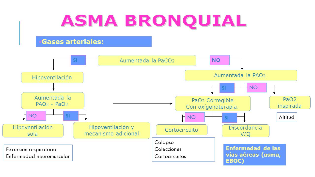 ASMA BRONQUIAL Gases arteriales: SI NO SI NO NO SI NO SI Altitud