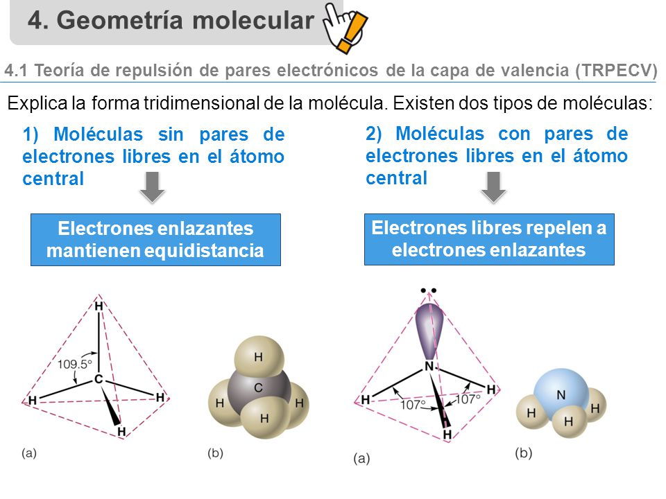 4. Geometría molecular 4.1 Teoría de repulsión de pares electrónicos de la capa de valencia (TRPECV)