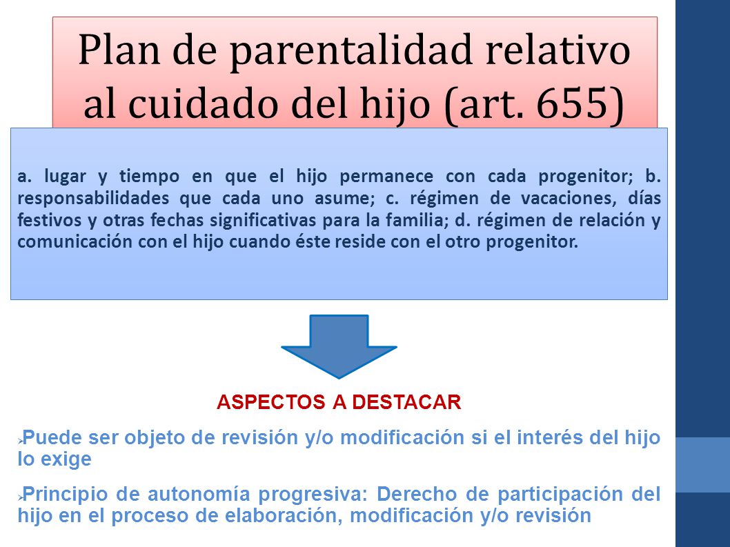 Plan de parentalidad relativo al cuidado del hijo (art. 655)