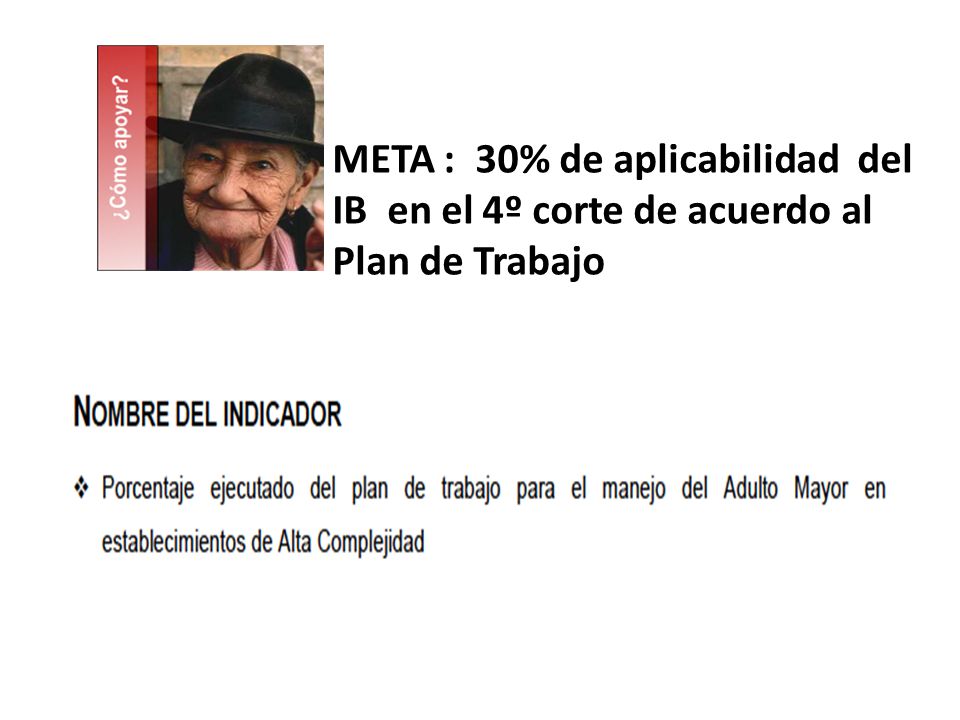 META : 30% de aplicabilidad del IB en el 4º corte de acuerdo al Plan de Trabajo