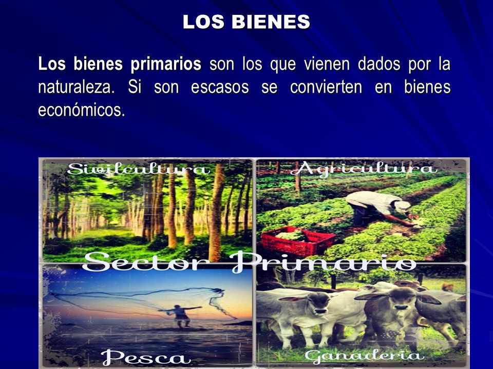LOS BIENES Los bienes primarios son los que vienen dados por la naturaleza.