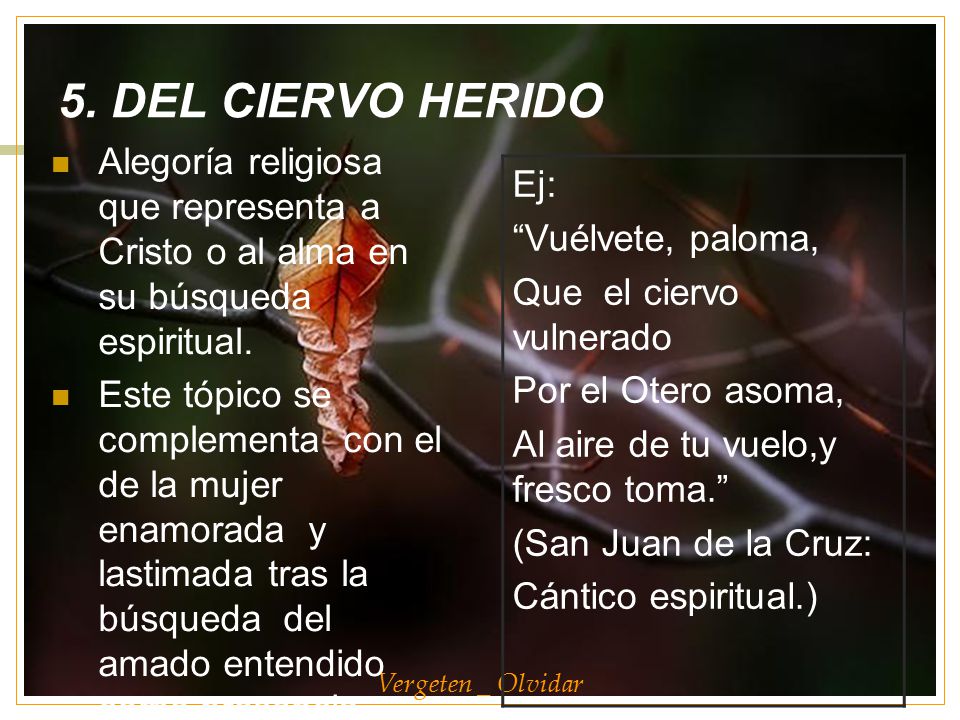 5. DEL CIERVO HERIDO Ej: Vuélvete, paloma, Que el ciervo vulnerado