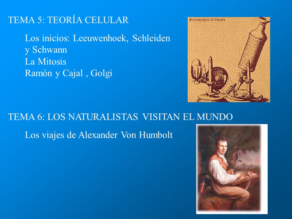 TEMA 5: TEORÍA CELULAR Los inicios: Leeuwenhoek, Schleiden y Schwann. La Mitosis. Ramón y Cajal , Golgi.