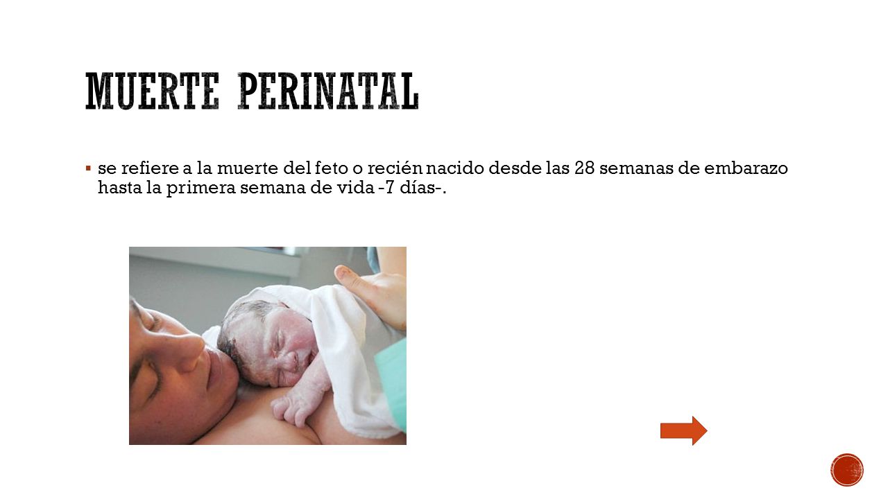 muerte perinatal se refiere a la muerte del feto o recién nacido desde las 28 semanas de embarazo hasta la primera semana de vida -7 días-.