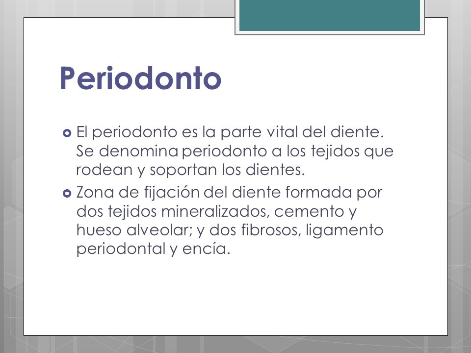 Periodonto El periodonto es la parte vital del diente. Se denomina periodonto a los tejidos que rodean y soportan los dientes.