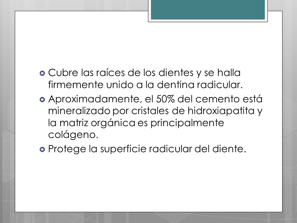 Cubre las raíces de los dientes y se halla firmemente unido a la dentina radicular.