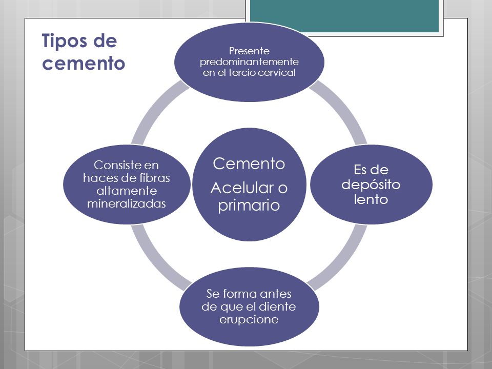 Tipos de cemento Cemento Acelular o primario Es de depósito lento