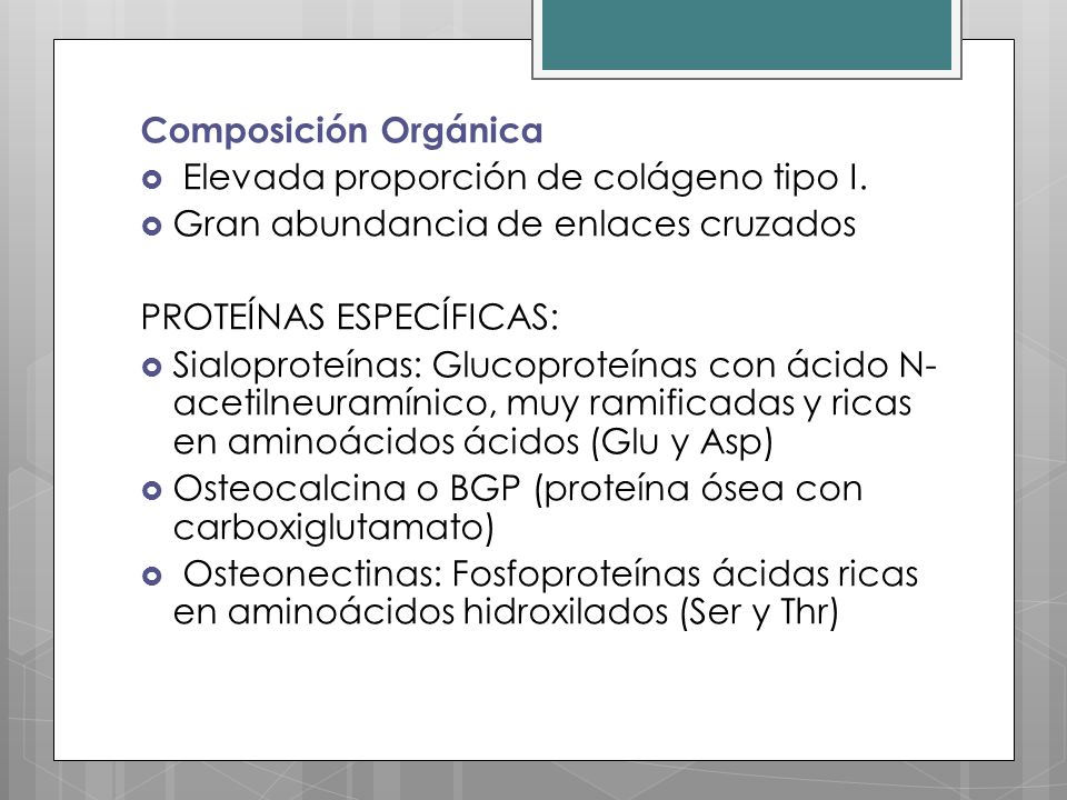 Composición Orgánica Elevada proporción de colágeno tipo I. Gran abundancia de enlaces cruzados. PROTEÍNAS ESPECÍFICAS: