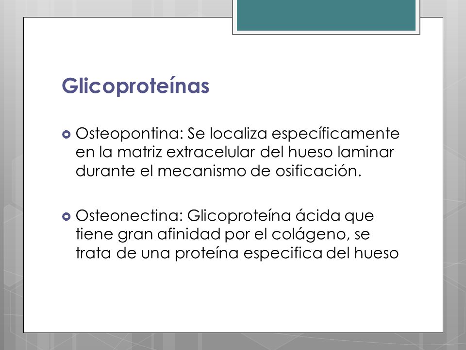 Glicoproteínas Osteopontina: Se localiza específicamente en la matriz extracelular del hueso laminar durante el mecanismo de osificación.