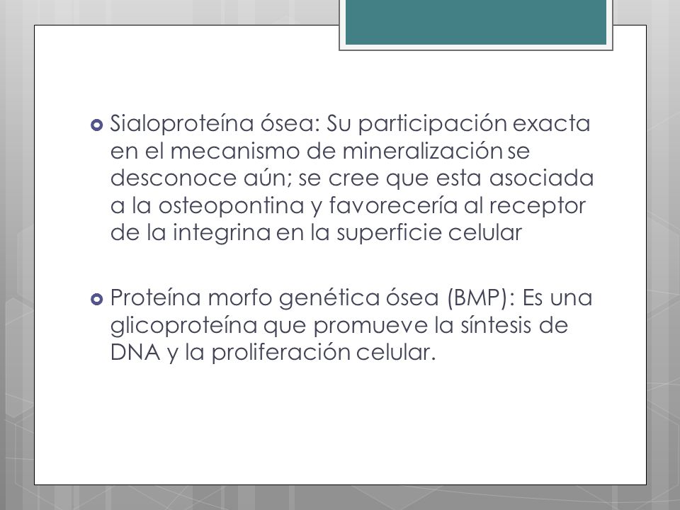 Sialoproteína ósea: Su participación exacta en el mecanismo de mineralización se desconoce aún; se cree que esta asociada a la osteopontina y favorecería al receptor de la integrina en la superficie celular