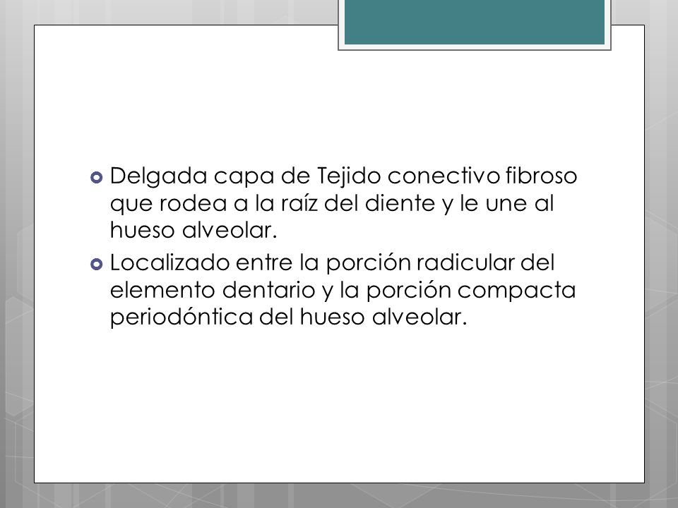 Delgada capa de Tejido conectivo fibroso que rodea a la raíz del diente y le une al hueso alveolar.